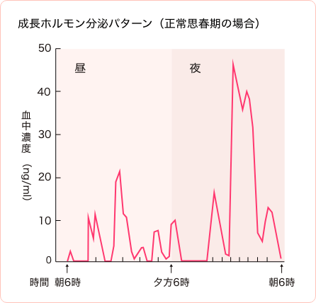 成長ホルモン分泌パターン（正常思春期の場合）