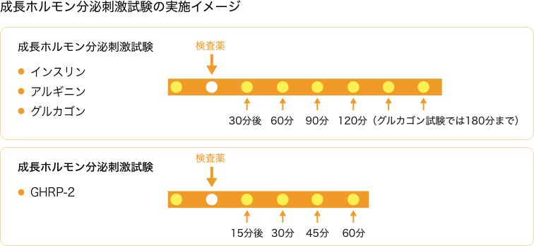 成人成長ホルモン分泌不全症の検査 成長ホルモン分泌刺激試験